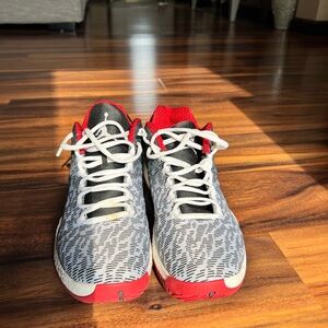 Jordan 29 “Bulls”